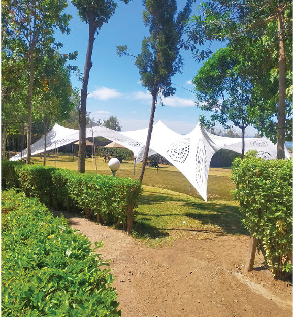 White peaked tent set up in a garden